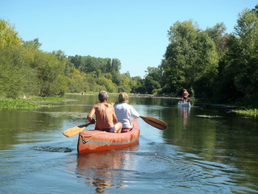 Deux personnes pagayant dans un canoë sur une rivière entourée d'arbres.